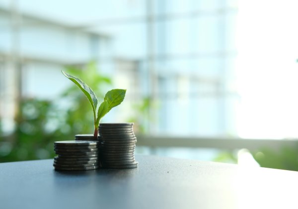 Cotización con Rentabilidad Protegida