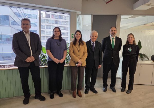 Consejo y subsecretaria de Previsión Social 