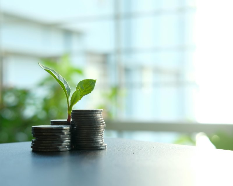 Monedas y planta 